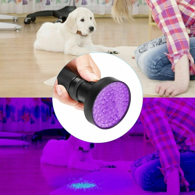 HighPowered UV LED Flashlight Torch Ultra Violet Blacklight For Inspection 0
