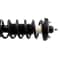 Rear Strut Kit For Honda Accord Shock Absorbers Suspension Replacement 2