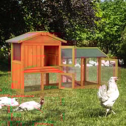 premium wooden backyard chicken coop with nesting box & poultry hutch