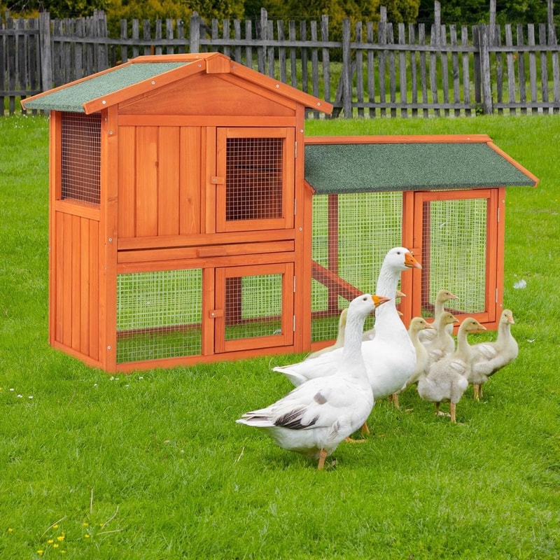 Premium Wooden Backyard Chicken Coop With Nesting Box Poultry Hutch 2