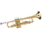 Student Beginner Bb Trumpet Gold Lacquer Brass Instrument With Case For School Band And Music Pract 3