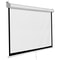 Manual Pull Down Projector Screen HD Format For Home Office Use 8