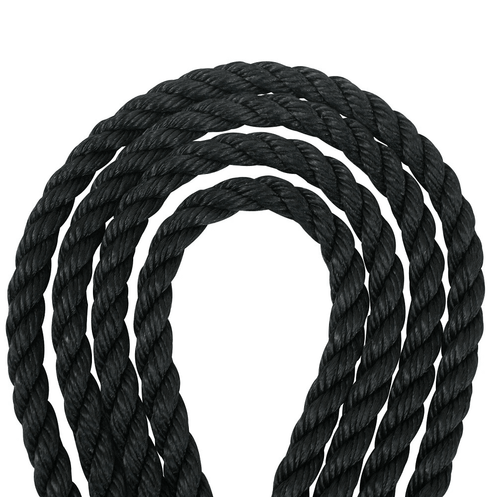 Spider Web Saucer Swing Tree Swing Set Adjustable Hanging Rope For Kids Black Swing For Fun Outdoo 3