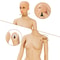 Adjustable Female Mannequin For Sewing Display Realistic Full Body Mannequin Height Adjustable 14
