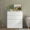 Modern Bedroom Storage Cabinet With 4 Drawers Stylish Nightstand Dresser For Organizing 0