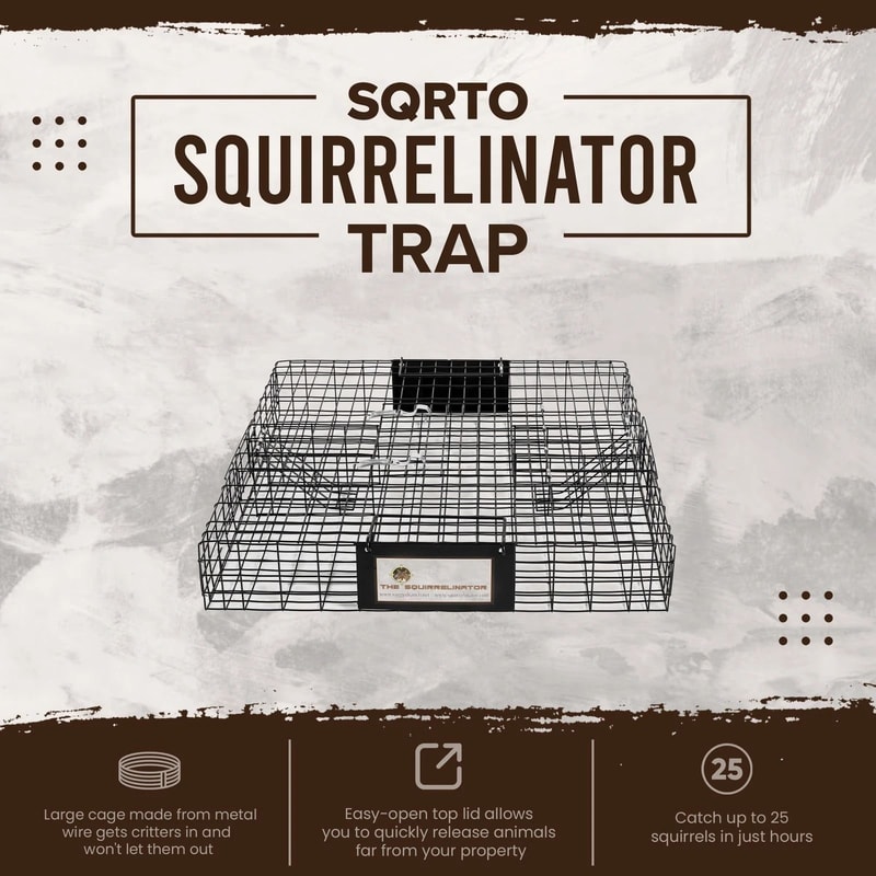 Rugged Ranch Squirrelinator Trap Live Animal Cage With 2 Doors For Safe Animal Capture 9