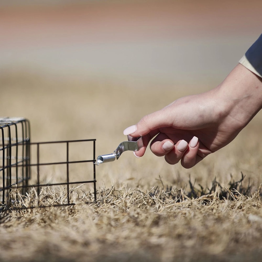 Rugged Ranch Squirrelinator Trap Live Animal Cage With 2 Doors For Safe Animal Capture 7