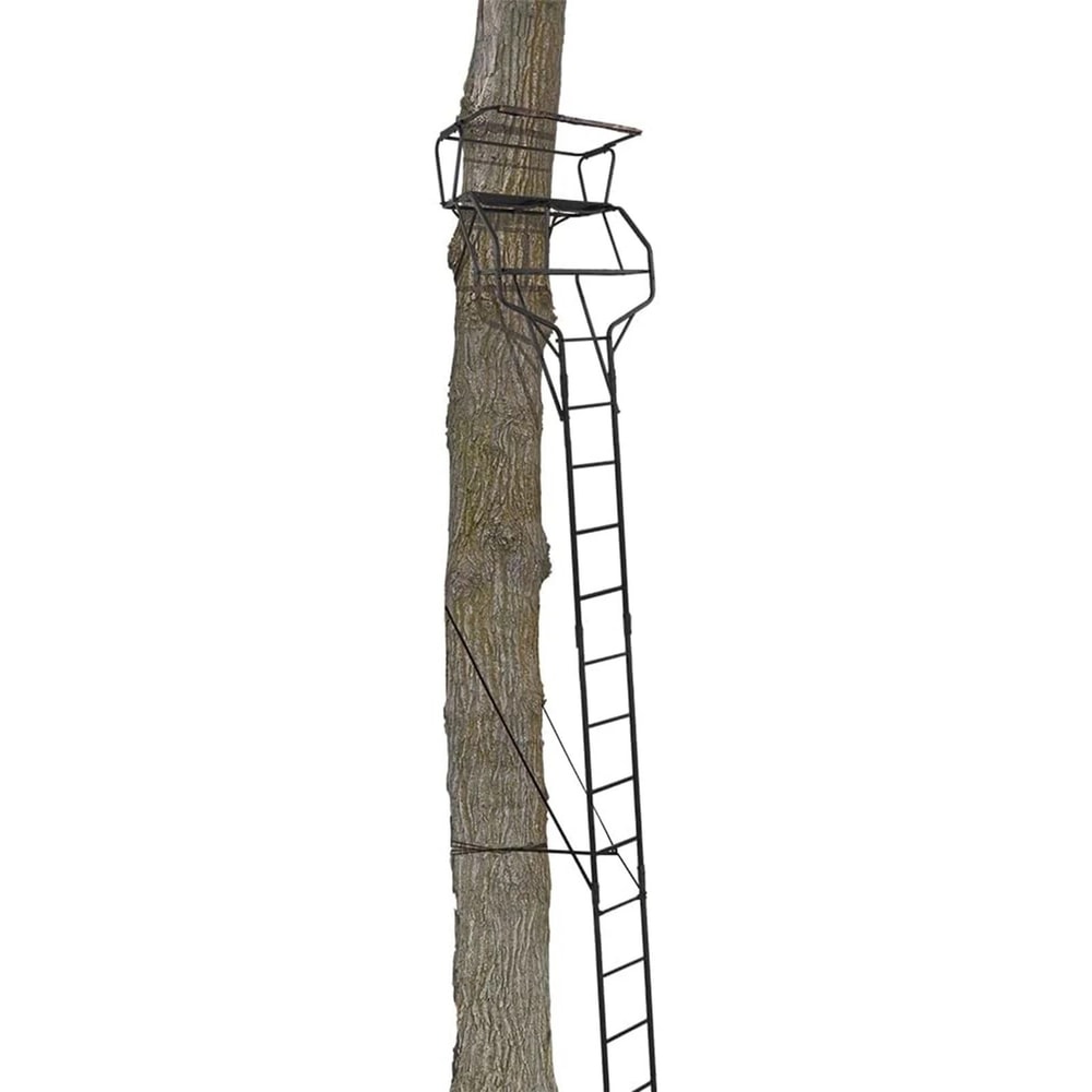 Big Game Guardian 2 Person Ladder Tree Stand Durable Hunting Climbing Stand 1