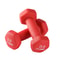 Neoprene Dumbbell Set With Rack For Weight Lifting Free Hand Weight Set 5