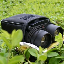 compact binoculars with zoom outdoor & travel telescope for hunting, birdwatching, day/night use