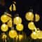 Solar LED String Lights Waterproof Warm White Ball Lights For Garden Decor 7