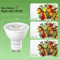 GU10 LED Bulb Dimmable Warm White Track Light Bulb 4