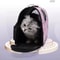 Portable Airline Approved Pet Carrier For Cats Dogs SoftSided Comfortable Travel Bag 7