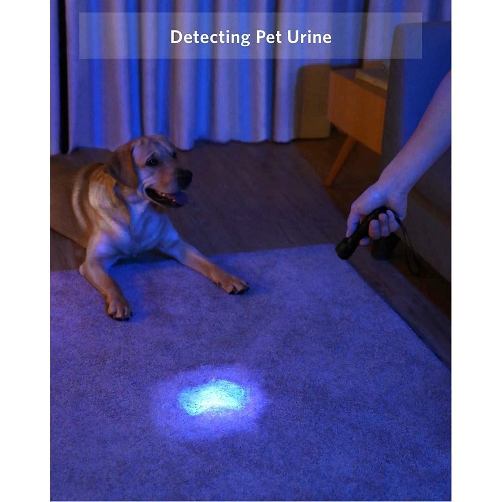 UV Flashlight LED Blacklight Torch NM For Inspection And Stain Detection 3