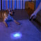 UV Flashlight LED Blacklight Torch NM For Inspection And Stain Detection 3