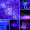 UV Flashlight LED Blacklight Torch NM For Inspection And Stain Detection 4