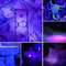 UV Flashlight LED Blacklight Torch NM For Inspection And Stain Detection 4