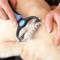 2side Dog Brush For Shedding Dematting Pet Grooming Comb For Cats And Dogs With Undercoat Rake 6
