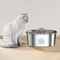Cat Water Dispenser Pump USB Rechargeable LED Light Pet Drinking Fountain 3
