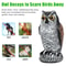 Owl Decoy Statue Effective Bird Repellent Pigeon Scarecrow For Garden And Yard 5