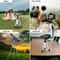 Universal Adjustable Phone Tripod Stand Portable Smartphone Camera Mount 2