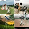 Universal Adjustable Phone Tripod Stand Portable Smartphone Camera Mount 2
