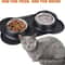 Stainless Steel Non Spill Pet Bowl With NonSkid Silicone Mat For Dogs Cats 4