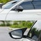 Honda Accord M Style Carbon Fiber Mirror Cover Caps Without Turn Signal 6