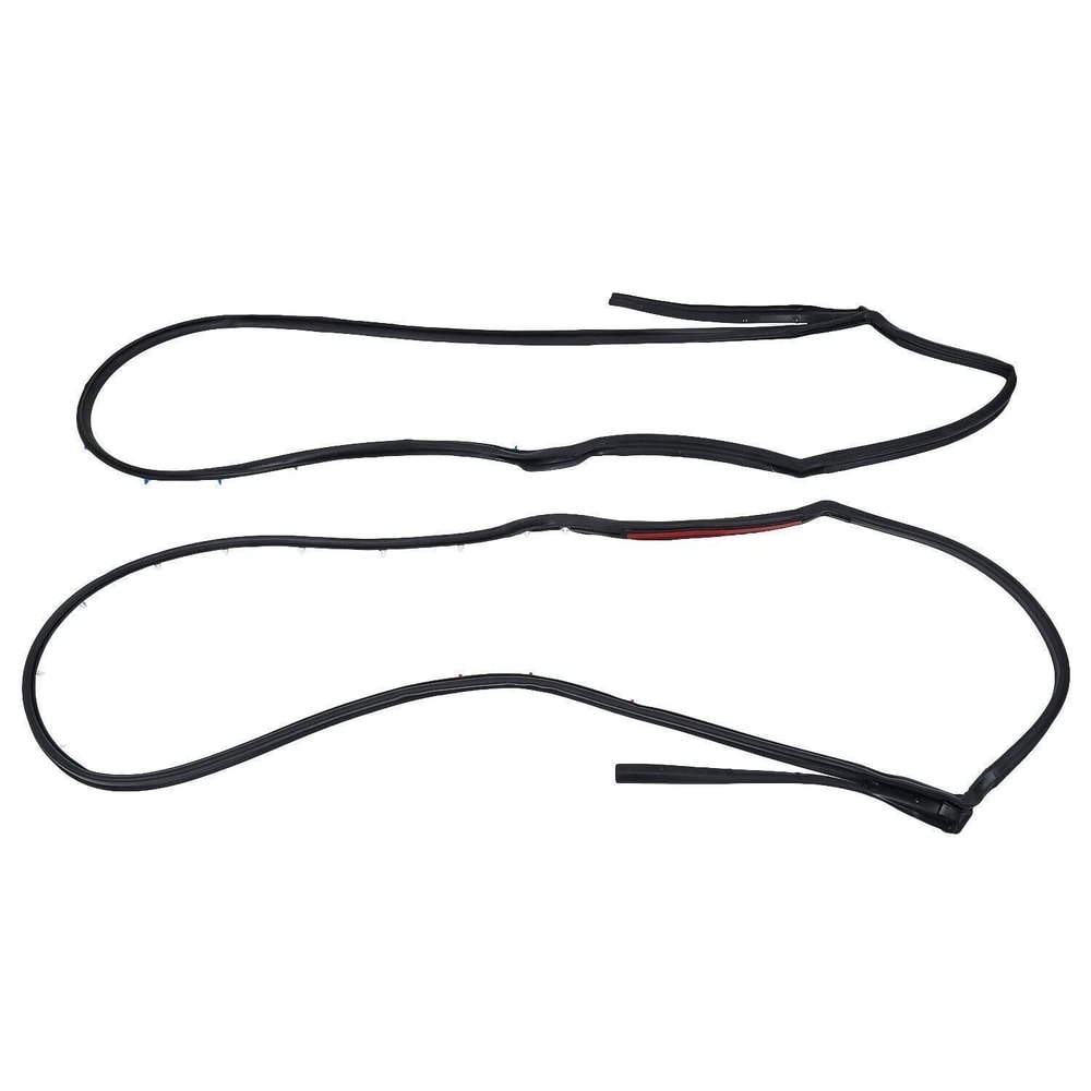 Nissan Sentra Rear Door Weatherstrip Seal Pair Left And Right 3