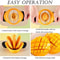 Ergonomic Mango Slicer Pitter Non Slip Grip Fruit Cutter Tool 7