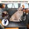 Hard Bottom Dog Car Seat Cover With Back Seat Extender Support 8