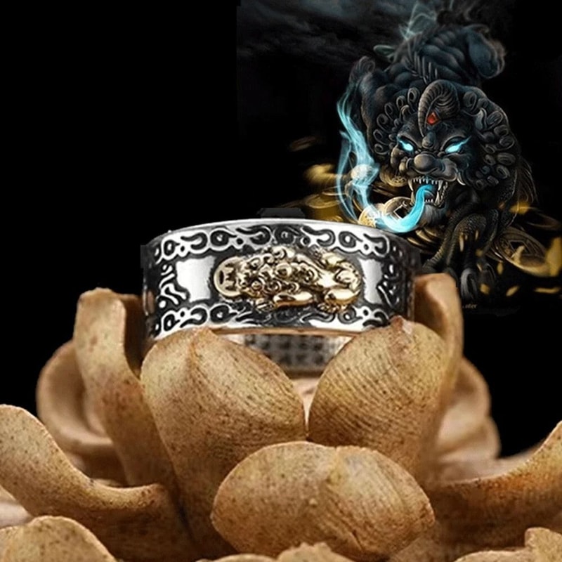 Feng Shui Ring Adjustable Wealth Ring With Buddhist Mantra 3
