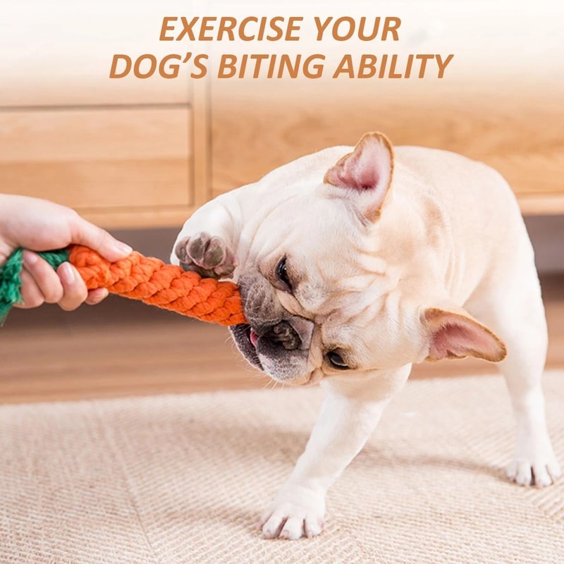 Carrot Rope Dog Toys For Puppy Teething And Dental Chew Play 2