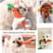 Carrot Rope Dog Toys For Puppy Teething And Dental Chew Play 6