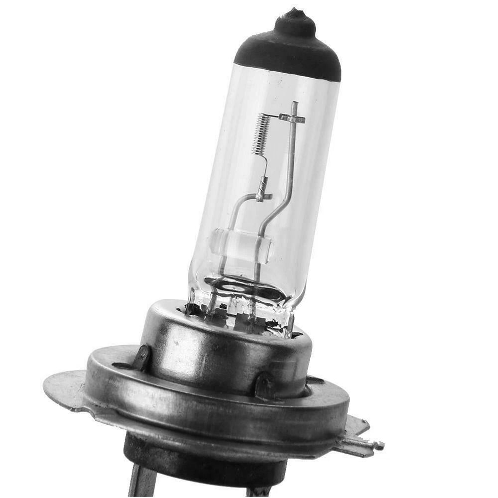 H7 Halogen Bulbs Clear Glass Headlight And Fog Light Pair 2
