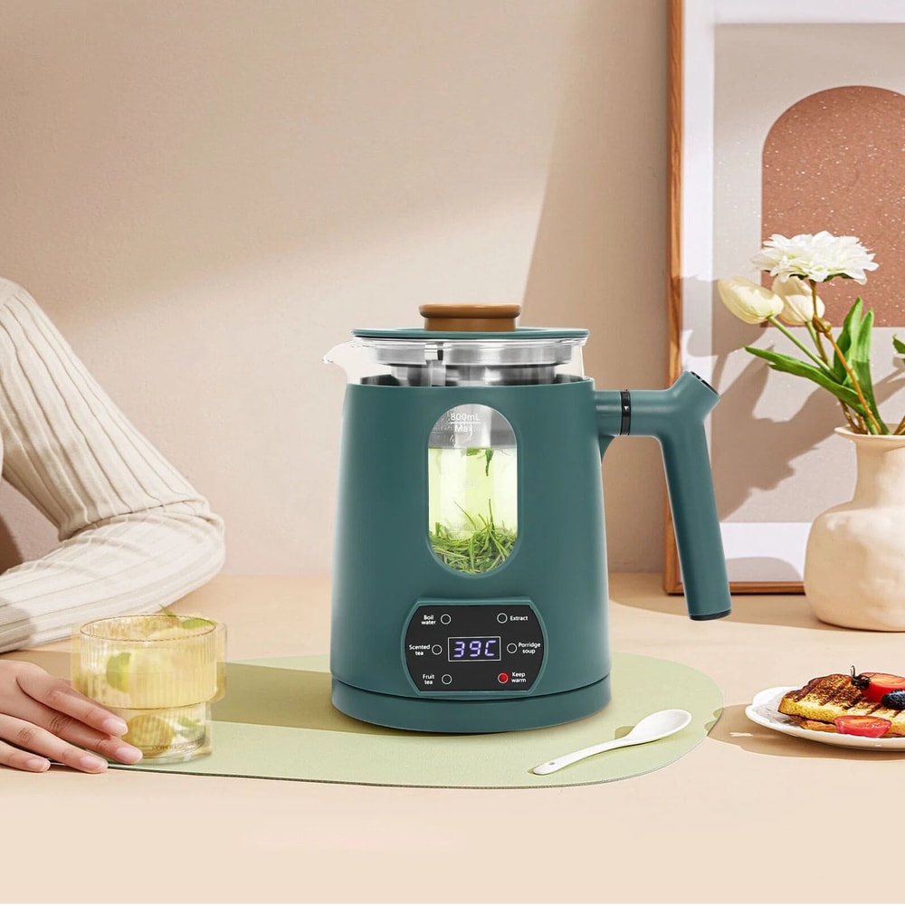 Compact Temperature Control Electric Tea Kettle Water Boiler Heater For Precise Boiling 0