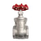 NPT Stainless Steel Gate Valve Heavy Duty CF8M Industrial Valve 11
