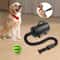 Premium Professional Pet Hair Dryer Dog Grooming Dryer Electric Pet Drying Machine With 4 Nozzles 4
