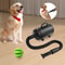 Premium Professional Pet Hair Dryer Dog Grooming Dryer Electric Pet Drying Machine With 4 Nozzles 4