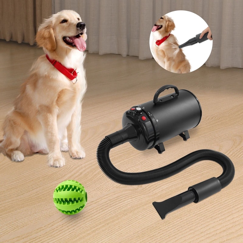 Premium Professional Pet Hair Dryer Dog Grooming Dryer Electric Pet Drying Machine With 4 Nozzles 4