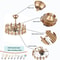 Elegant LED Fan Gold Chandelier Ceiling Light With Remote Semi Flush Mount Fixture 5