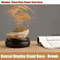 Premium Hand Carved Wood Display Stand Elegant Round Pedestal Bonsai Stand Teapot Vase Base 10