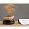 Premium Hand Carved Wood Display Stand Elegant Round Pedestal Bonsai Stand Teapot Vase Base 4