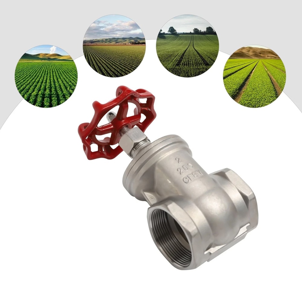 Premium Stainless Steel Female Threaded Gate Valve Heavy Duty Flow Control 9