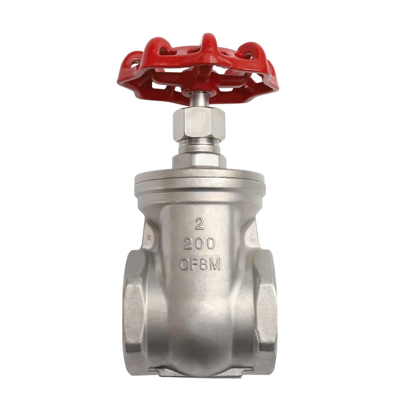 Premium Stainless Steel Female Threaded Gate Valve Heavy Duty Flow Control 8