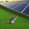 Premium Solar Panel Bird Guard Mesh Kit Solar Panel Bird Proofing Mesh Roll With Clips 10