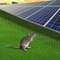 Premium Solar Panel Bird Guard Mesh Kit Solar Panel Bird Proofing Mesh Roll With Clips 10