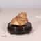 Hand Carved Wooden Display Stand Pedestal Bonsai Teapot Vase Base 4