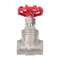 Stainless Steel Gate Valve FNPT WOG With Wheel Handle Durable Industrial Shut Off 13