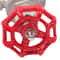 Stainless Steel Gate Valve FNPT WOG With Wheel Handle Durable Industrial Shut Off 6